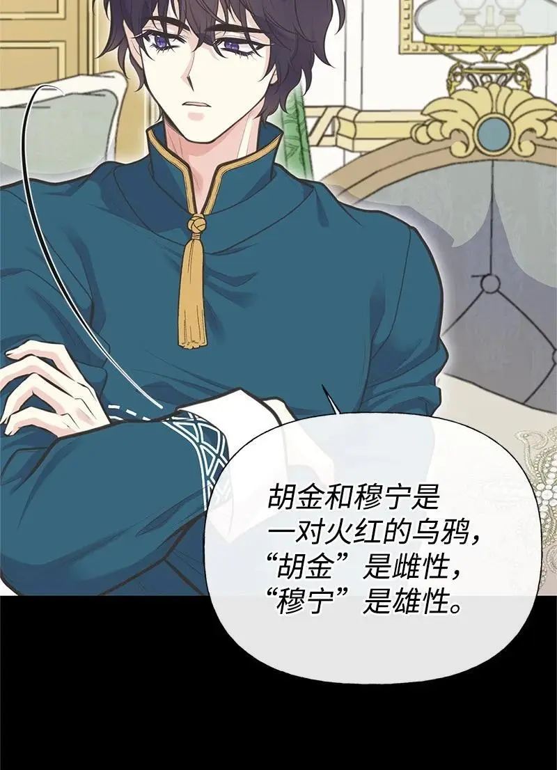79 进入白色山脉 第65页