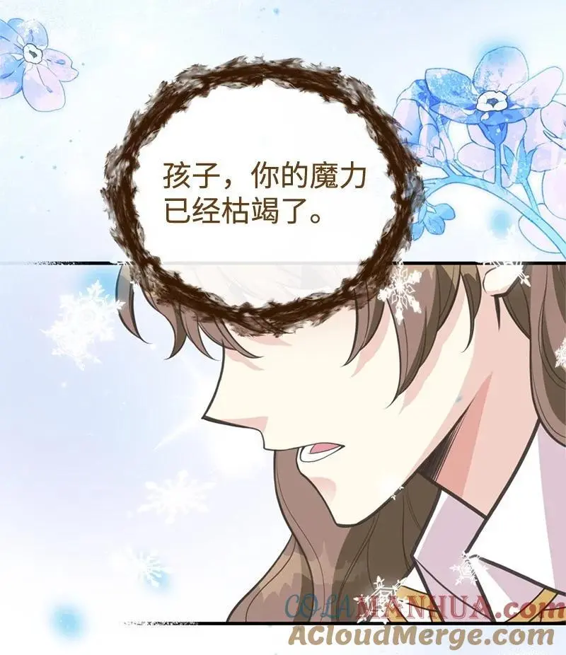 81 承袭魔力 第13页