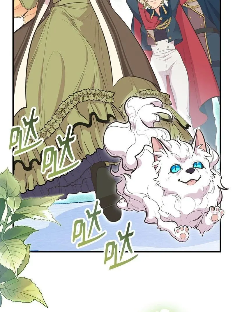 87 启动魔法阵 第3页