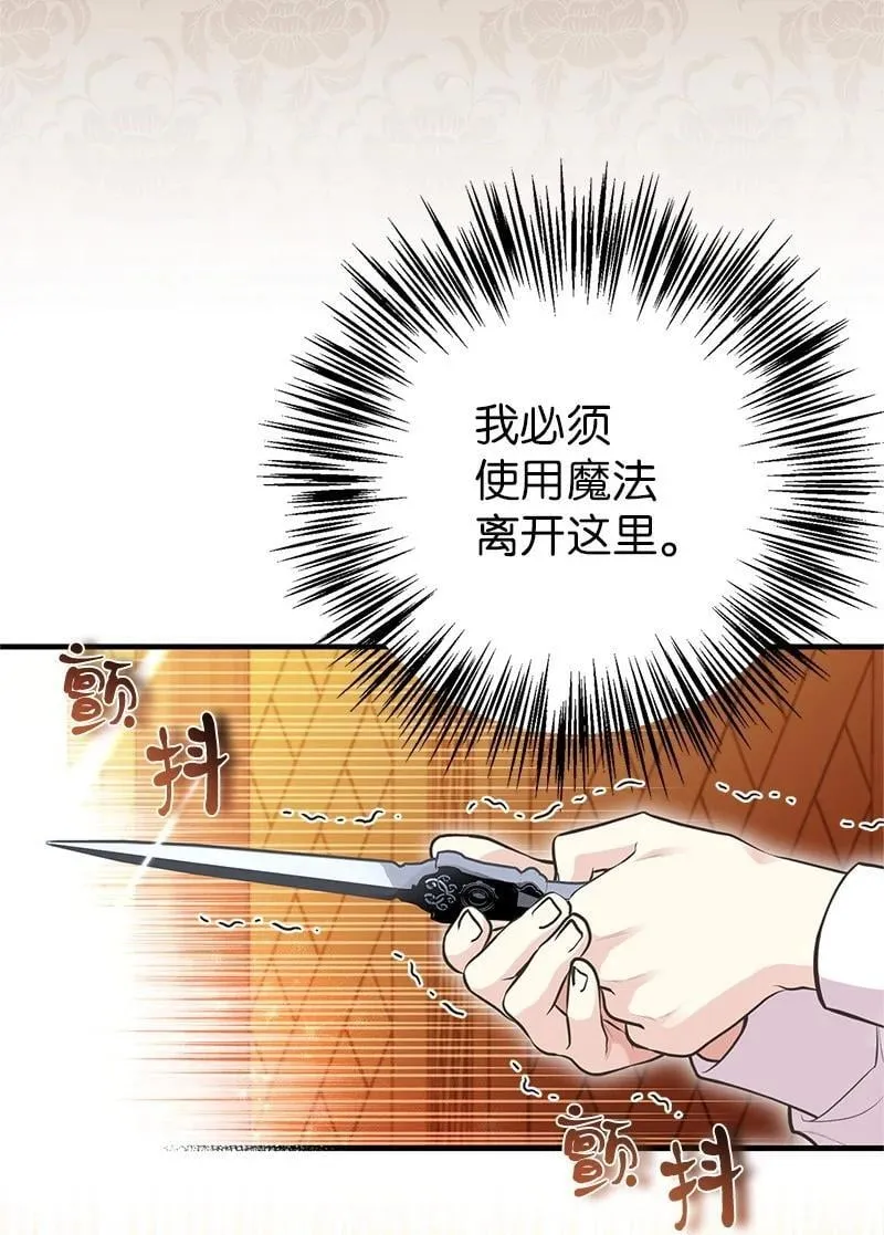 88 又见坦西斯 第14页