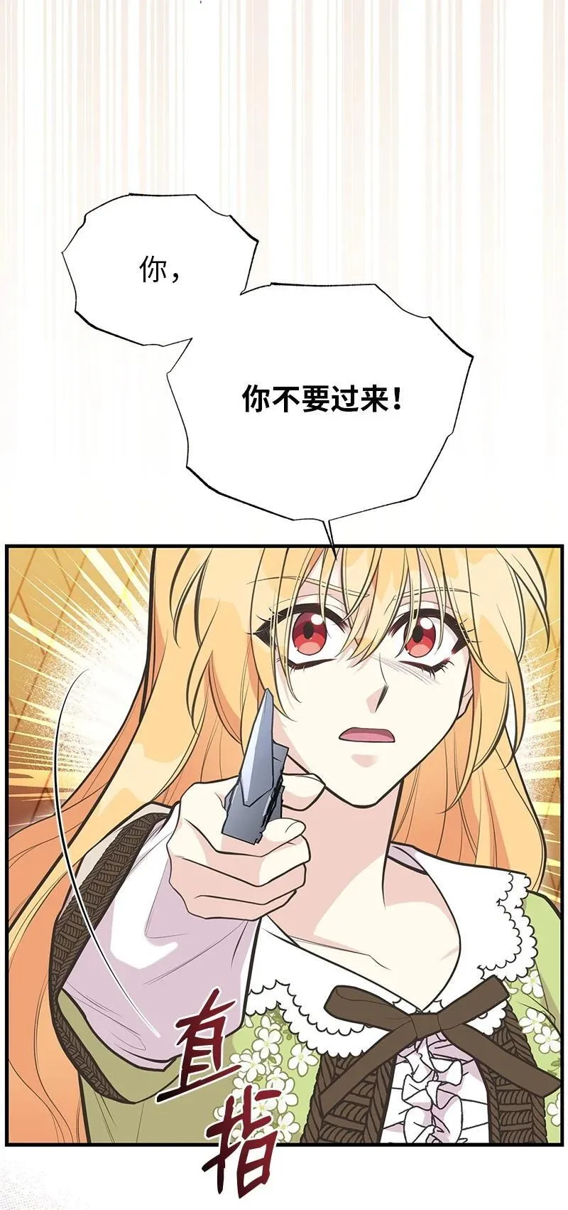 88 又见坦西斯 第17页
