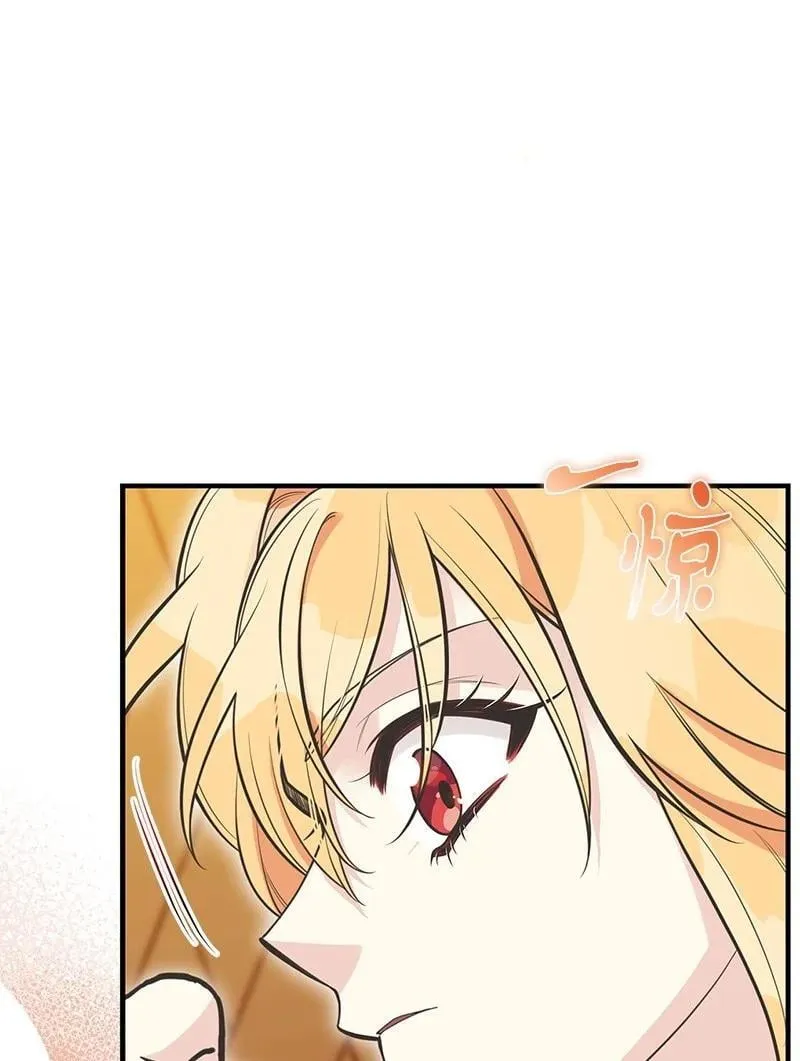 88 又见坦西斯 第26页