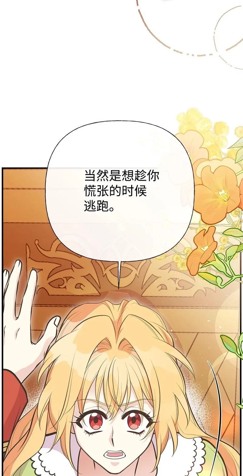 88 又见坦西斯 第36页
