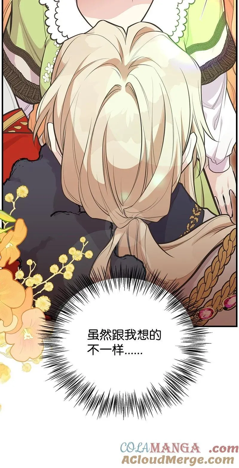 88 又见坦西斯 第37页