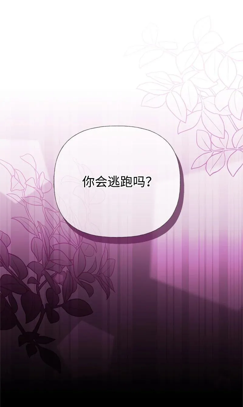 88 又见坦西斯 第45页