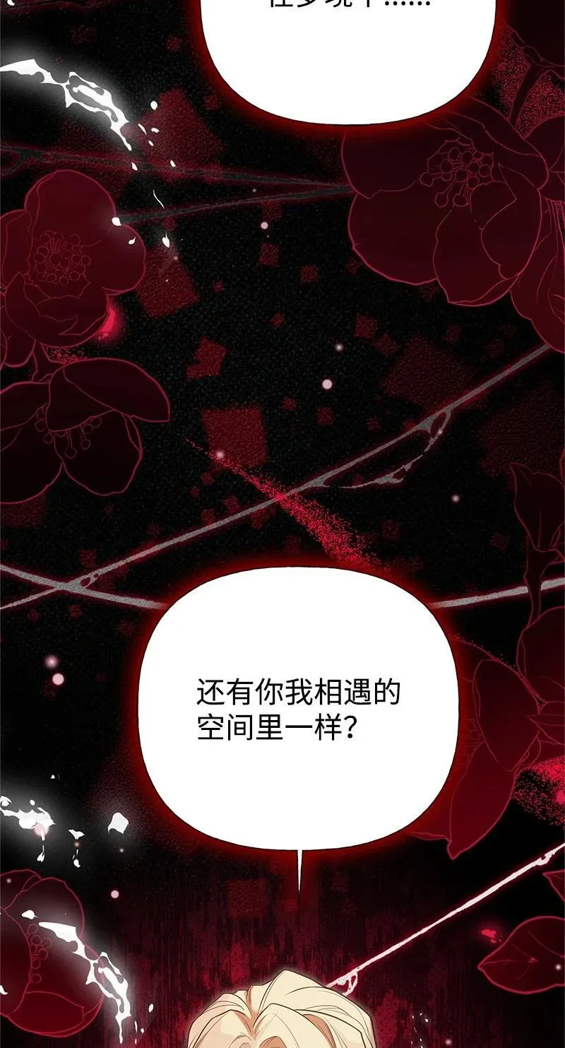 88 又见坦西斯 第48页
