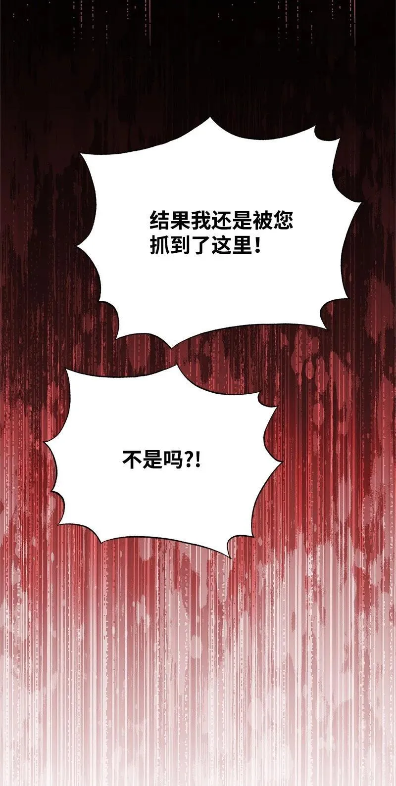 88 又见坦西斯 第51页
