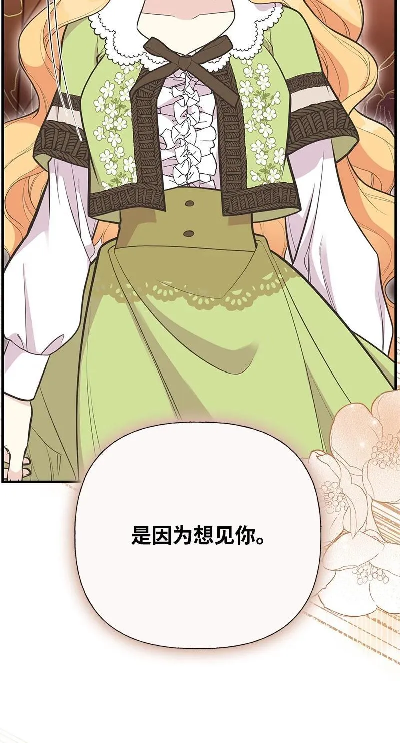 88 又见坦西斯 第60页