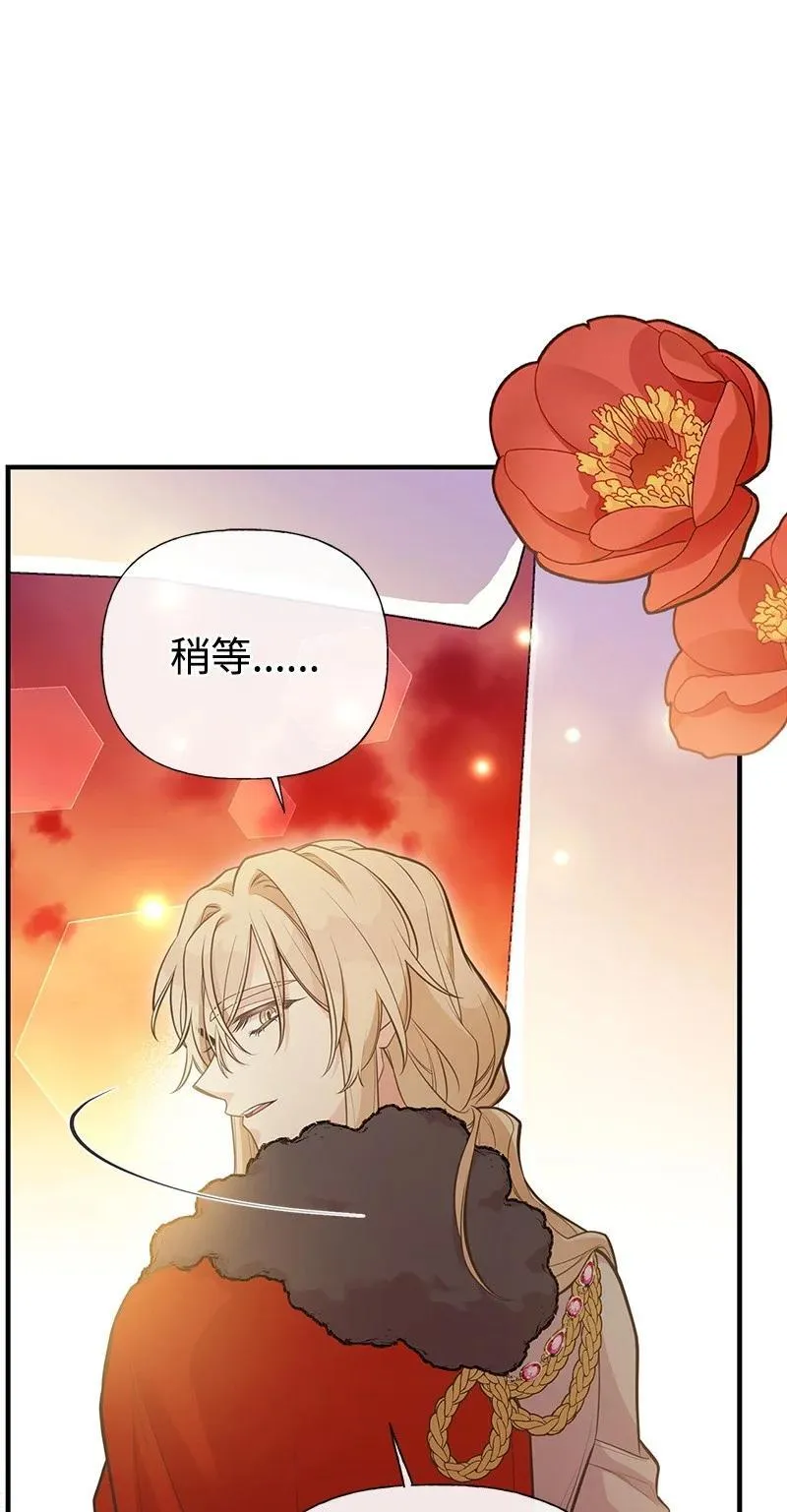 88 又见坦西斯 第62页
