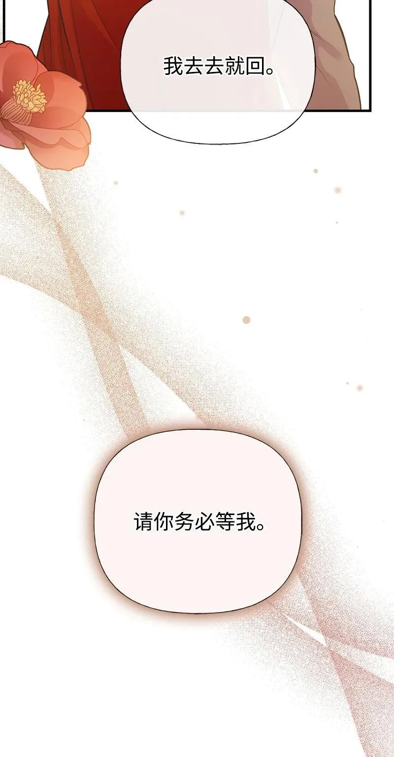 88 又见坦西斯 第63页