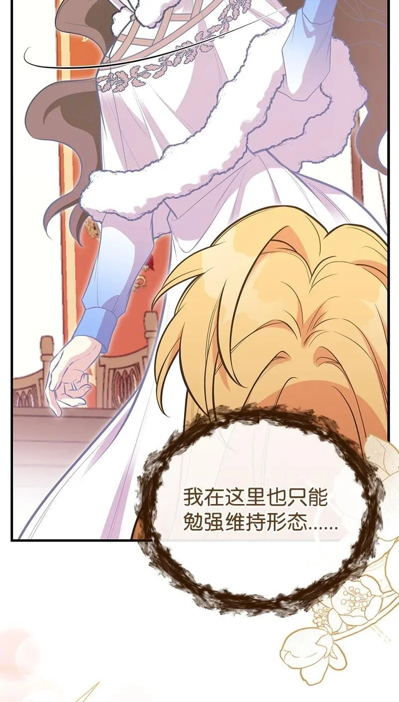 88 又见坦西斯 第72页