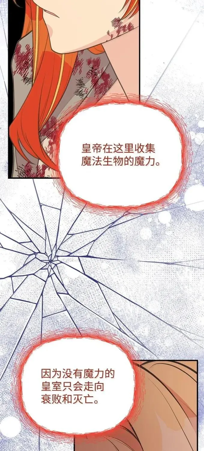 101 见到胡金 第83页