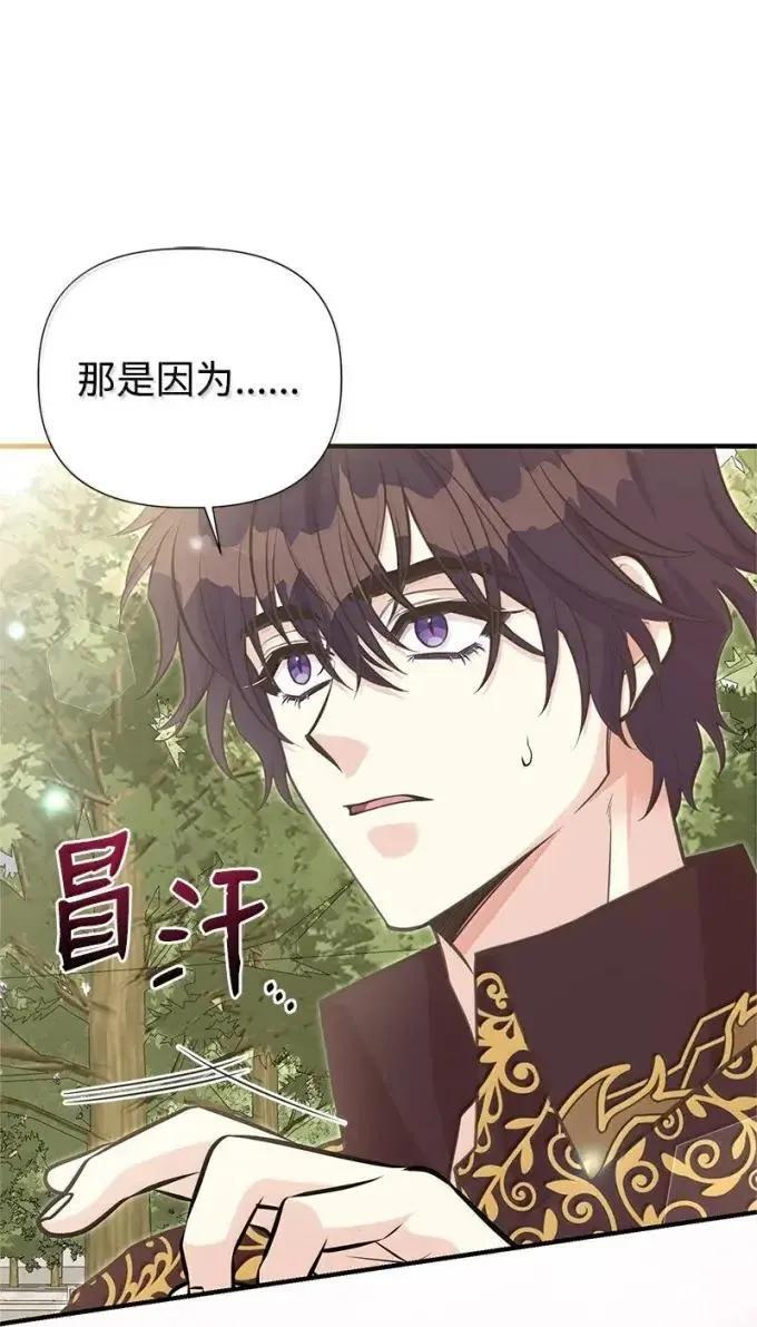 113 给我一个答复 第66页