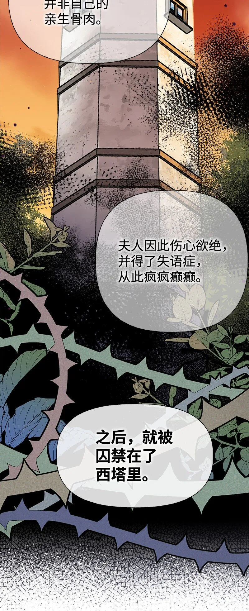 55 西塔的秘密 第44页