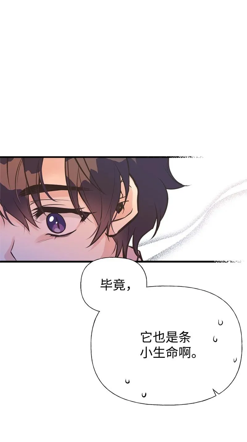 52 雪球 第11页