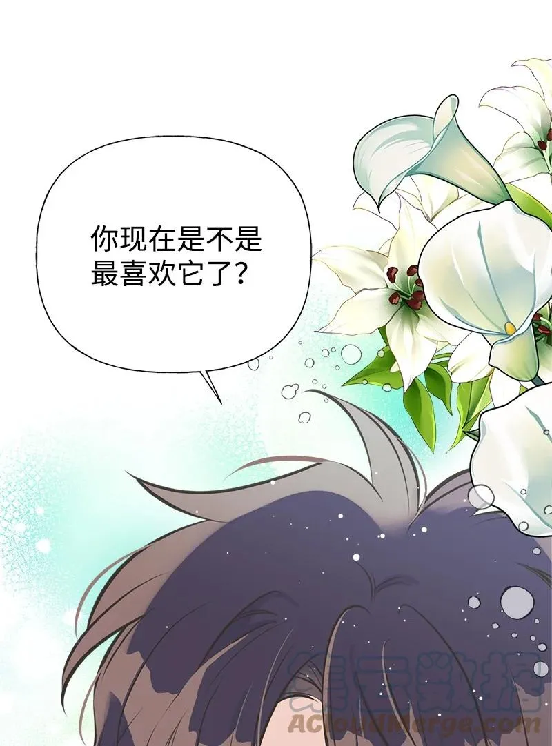 52 雪球 第13页