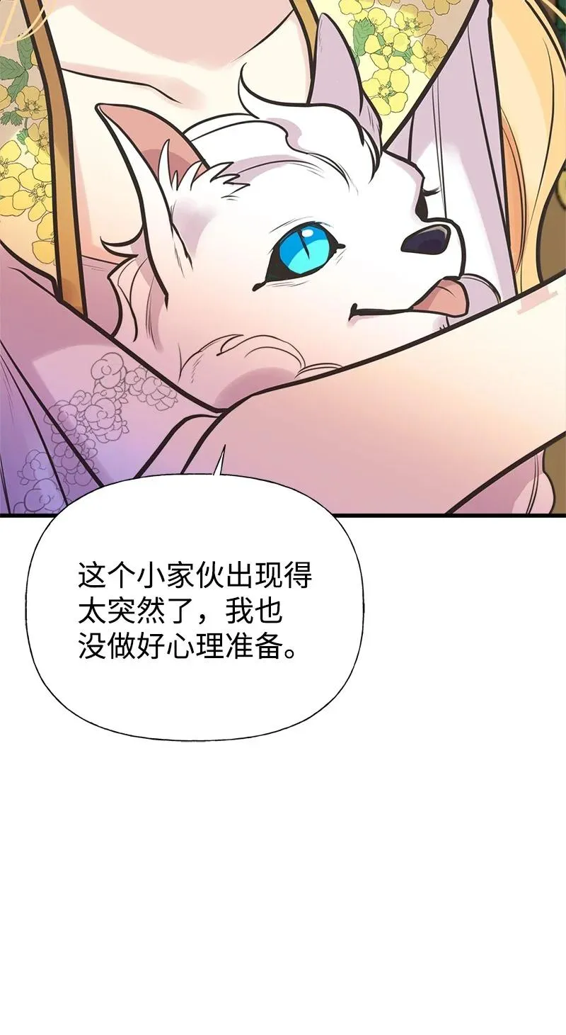 52 雪球 第18页