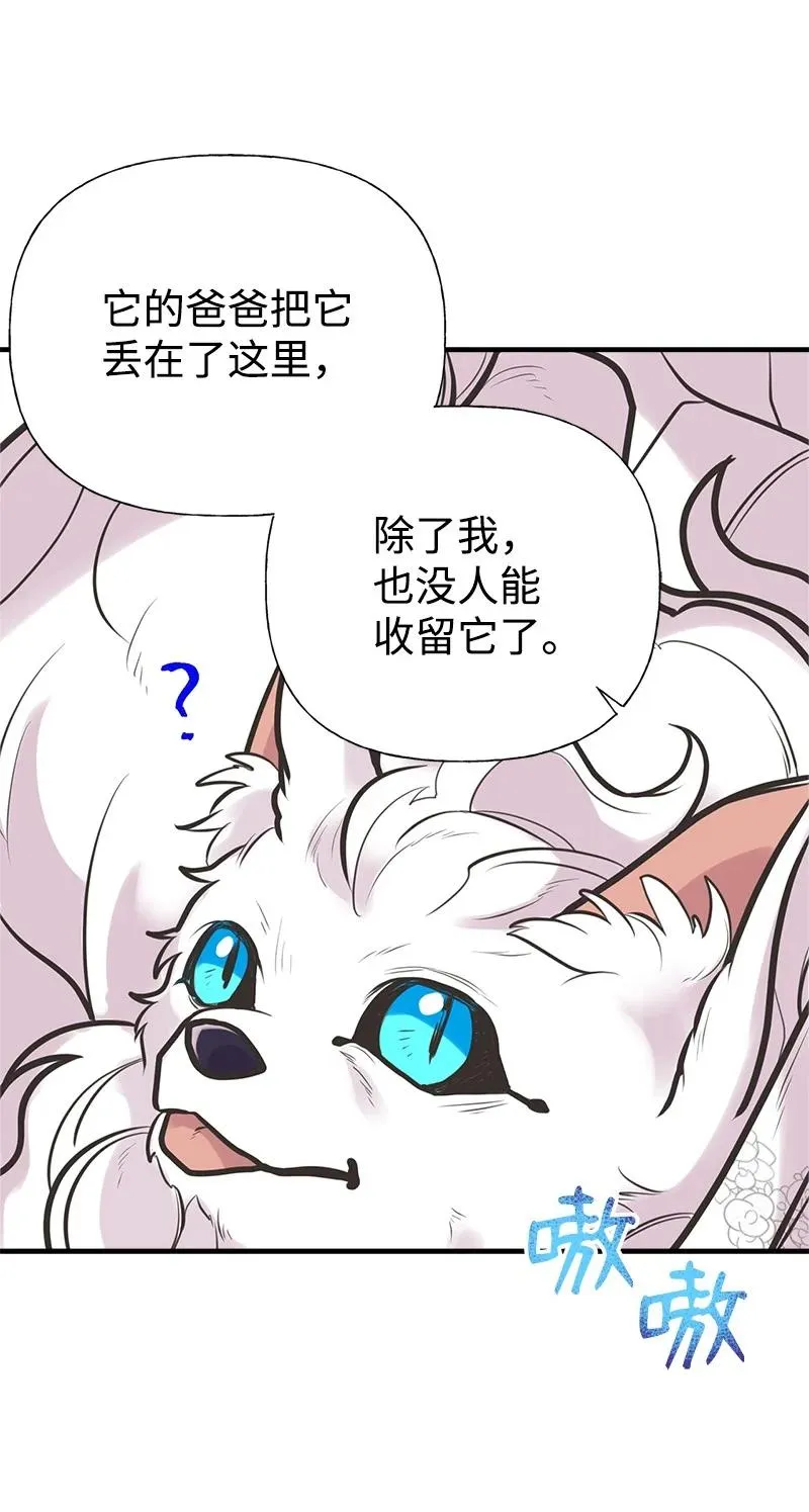 52 雪球 第20页