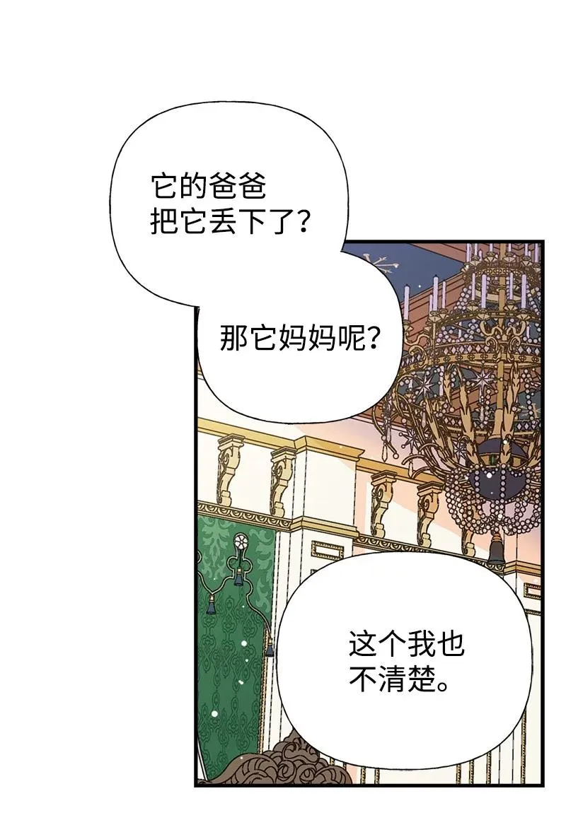52 雪球 第21页