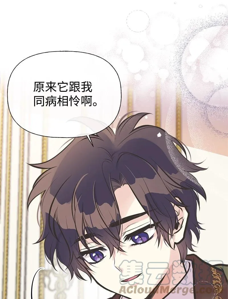52 雪球 第25页