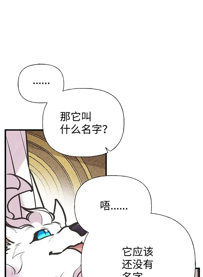 52 雪球 第29页
