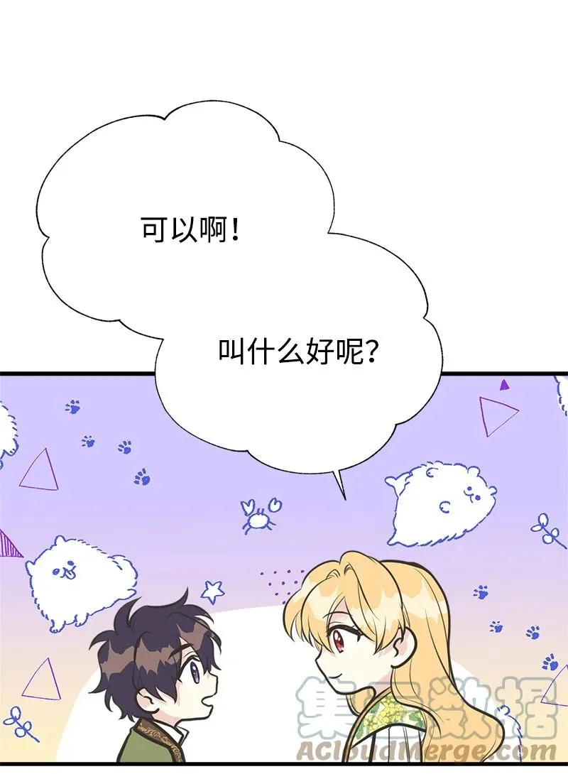 52 雪球 第31页