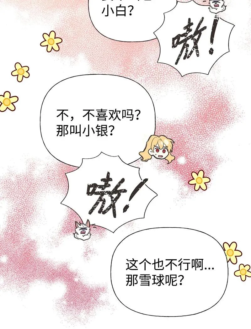 52 雪球 第33页