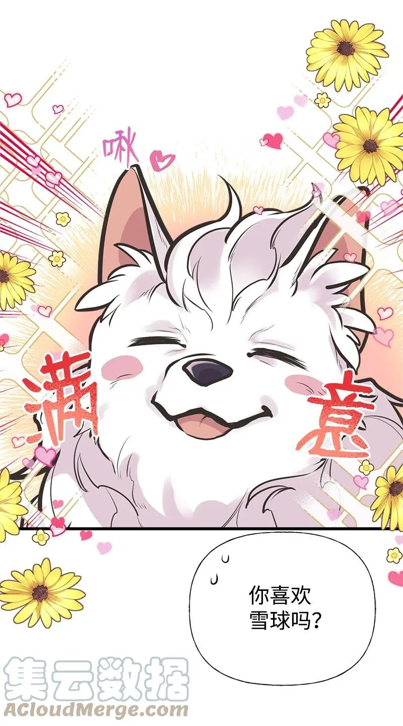 52 雪球 第34页
