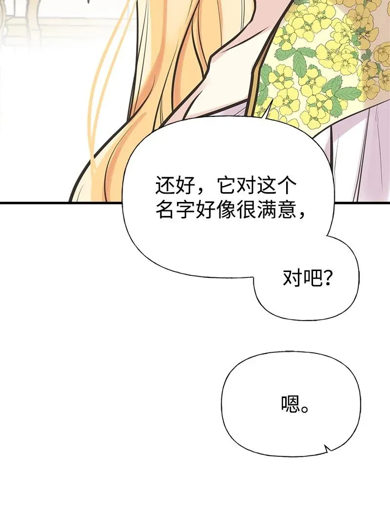 52 雪球 第36页