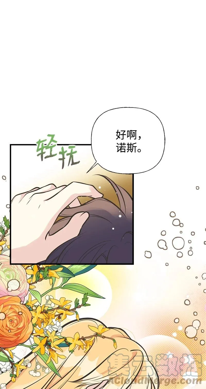 52 雪球 第40页