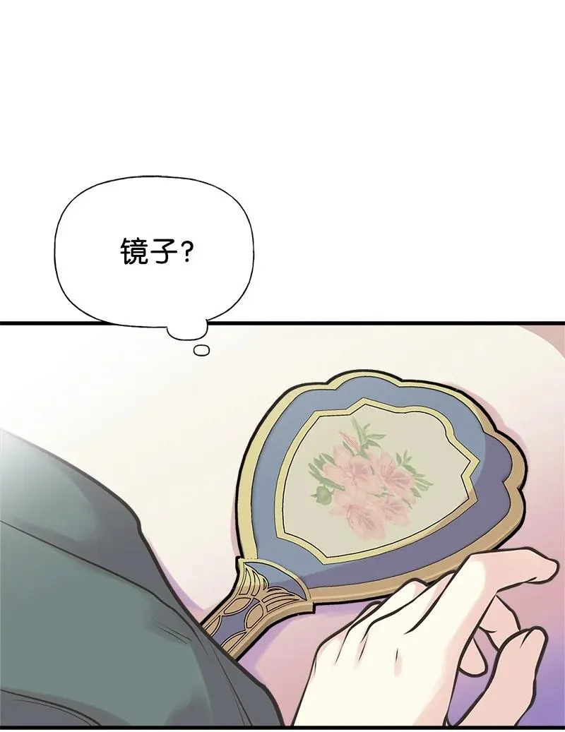 52 雪球 第44页