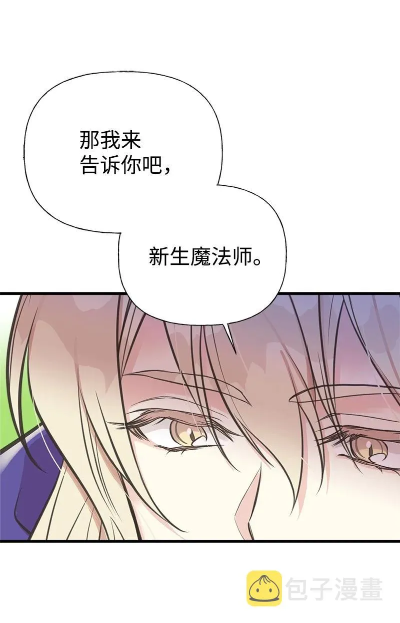 52 雪球 第65页