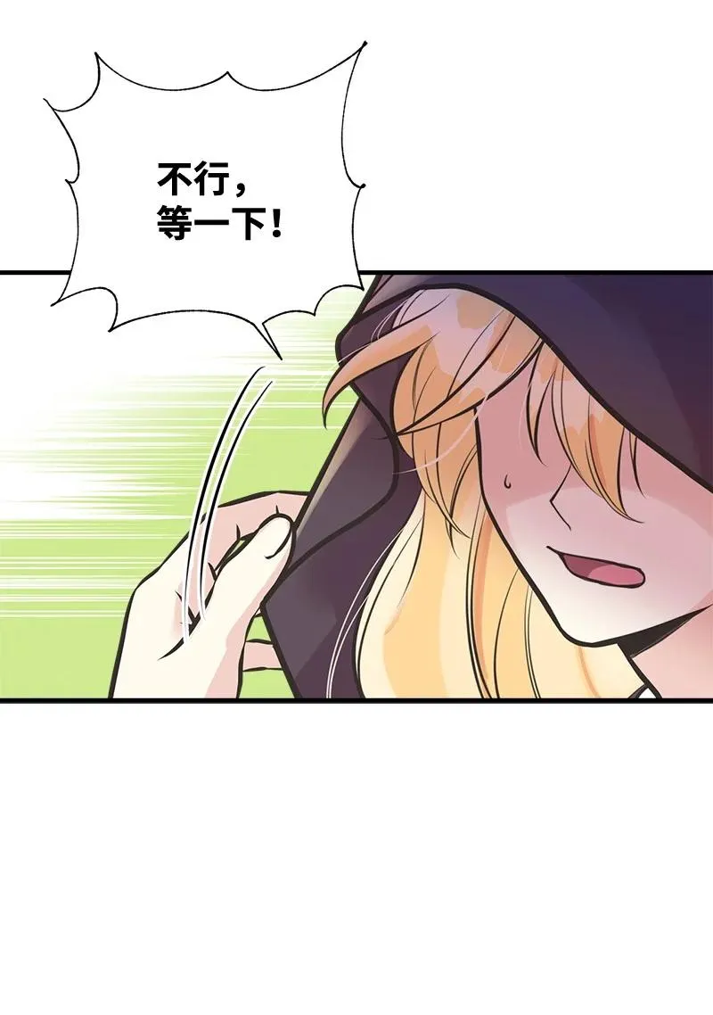 52 雪球 第72页