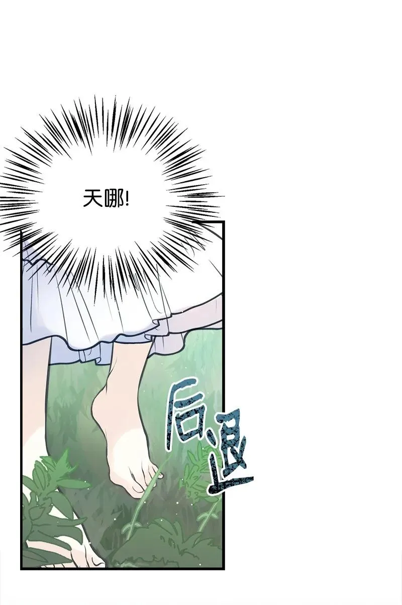 51 与帕尔的契约 第8页