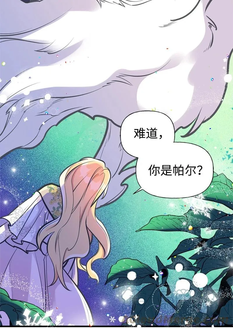 51 与帕尔的契约 第10页