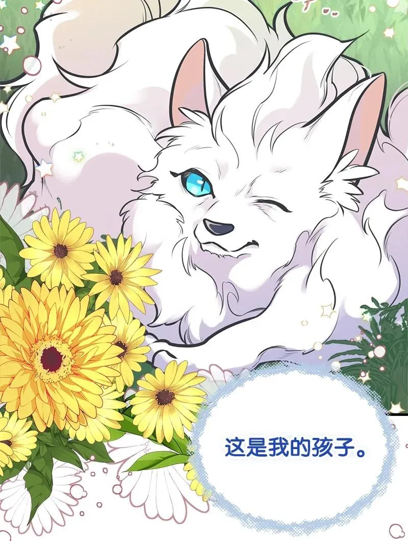 51 与帕尔的契约 第39页