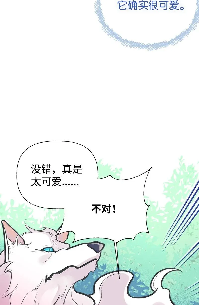 51 与帕尔的契约 第42页