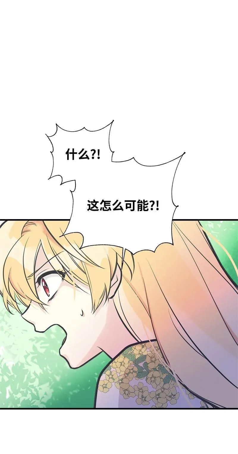 51 与帕尔的契约 第45页