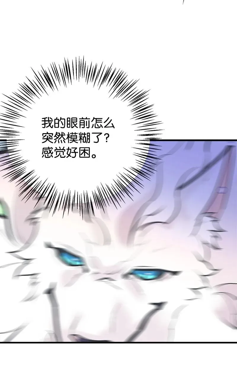 51 与帕尔的契约 第47页