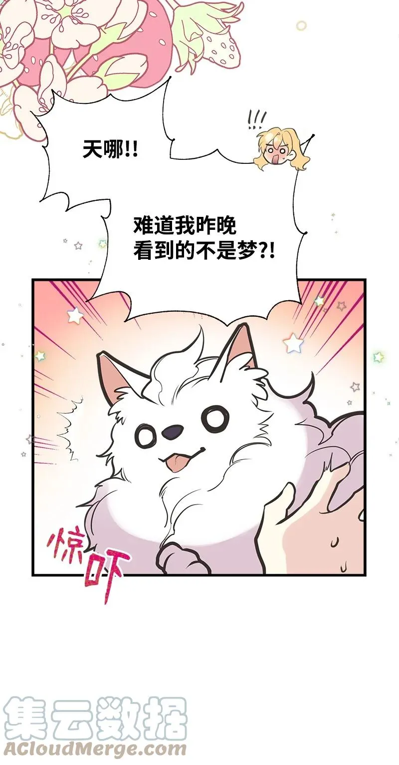 51 与帕尔的契约 第67页