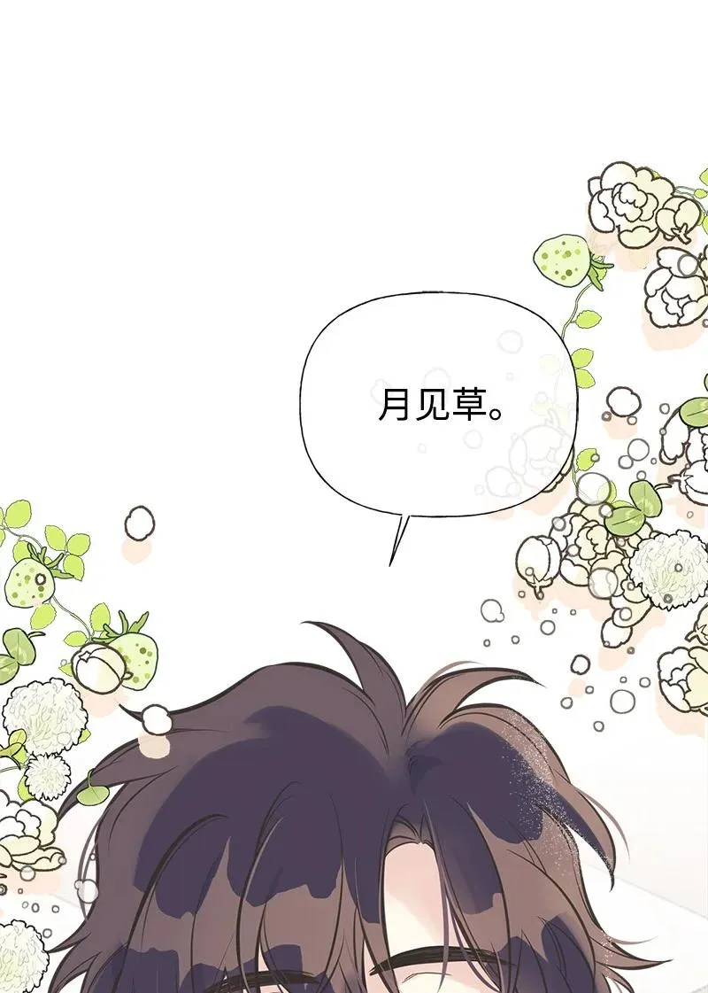 48 帕尔的故事 第42页