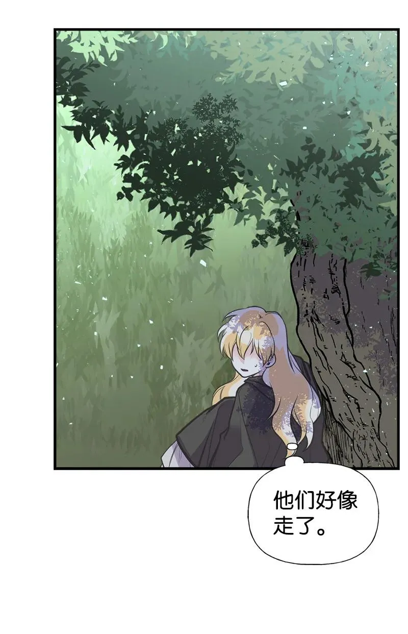 41 赌约 第15页