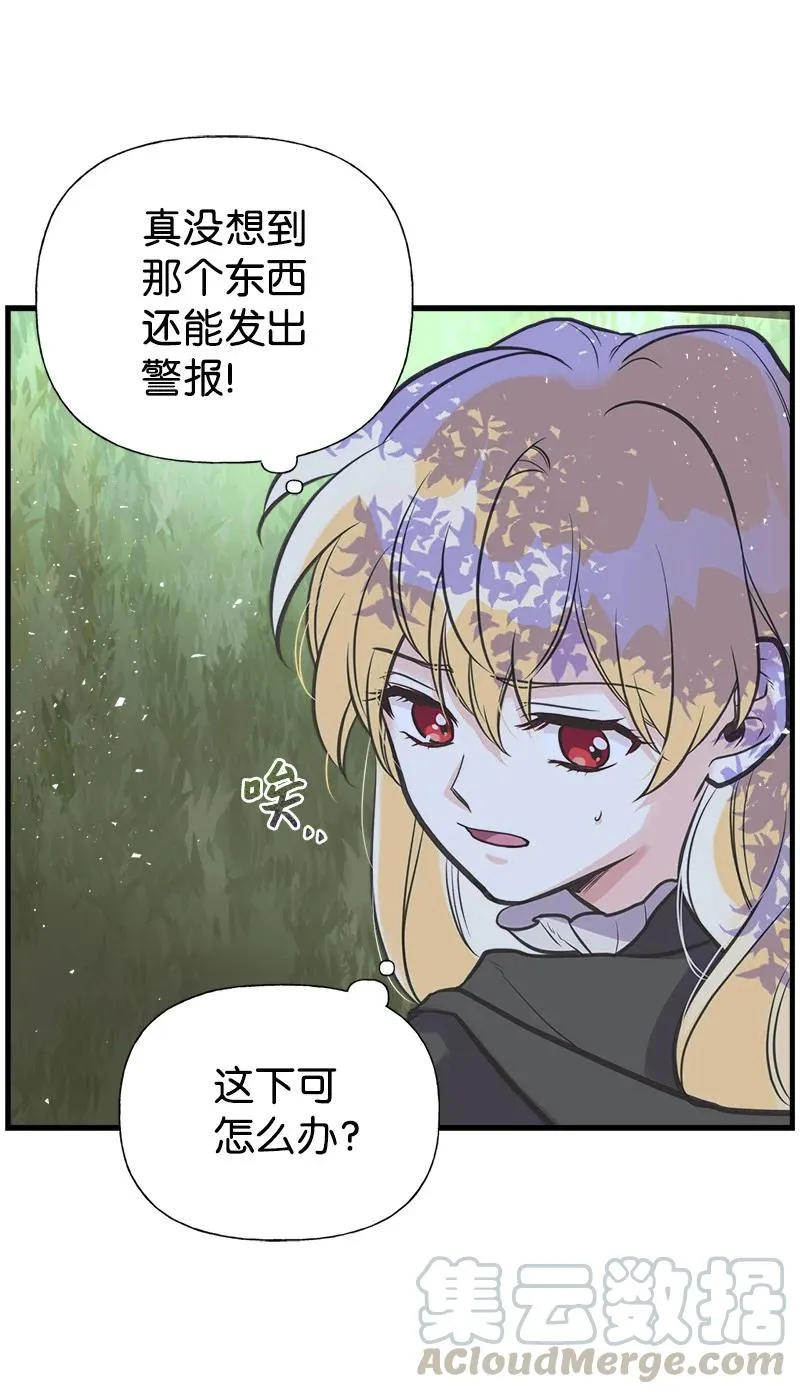 41 赌约 第16页