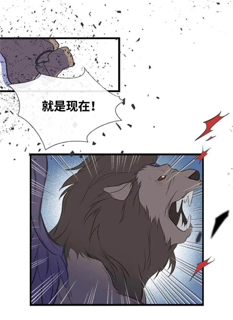 09 老房子 第12页