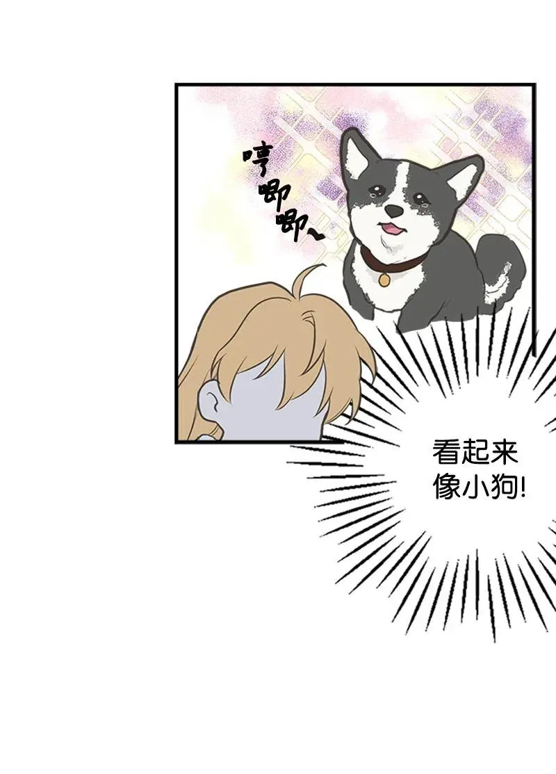 12 我替你承受痛苦 第41页