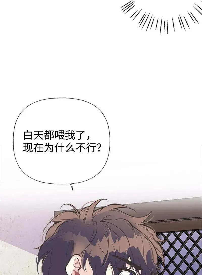 13 你来喂我 第42页