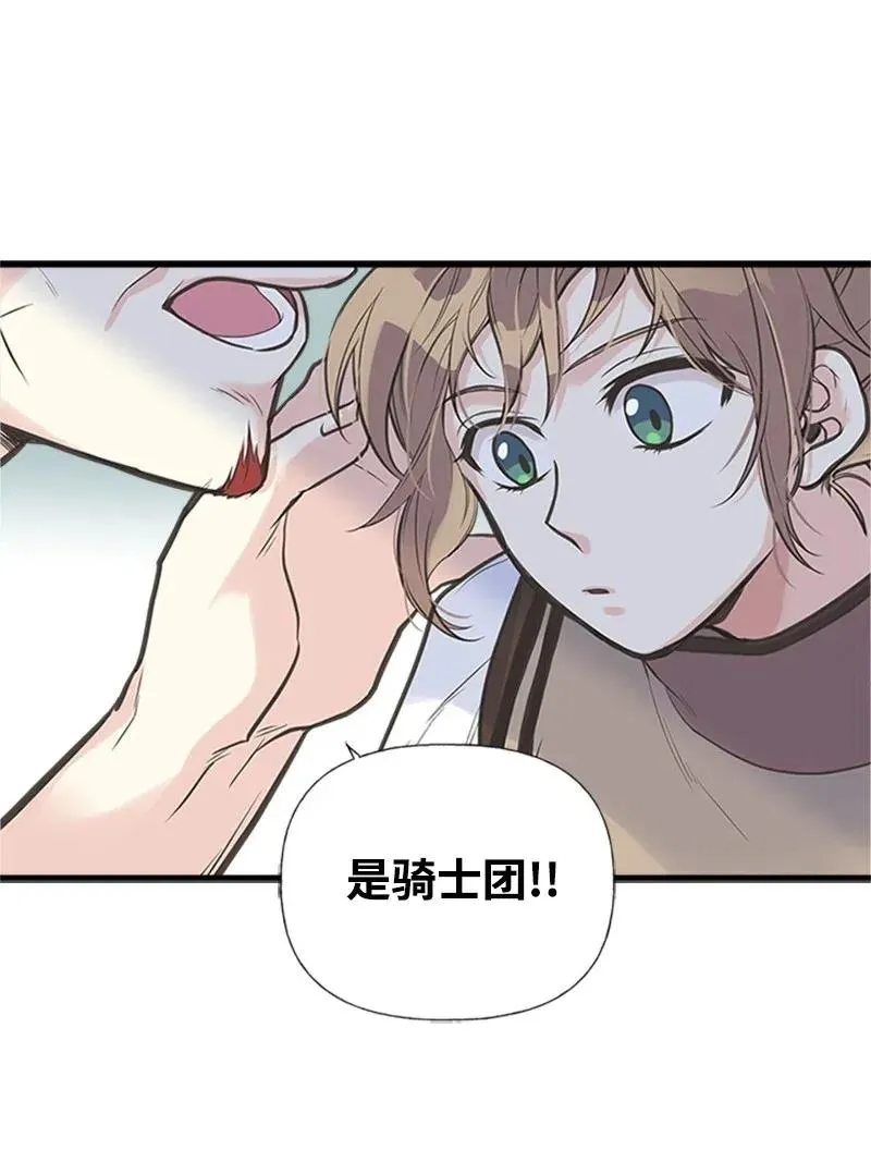 14 皇家骑士团 第12页