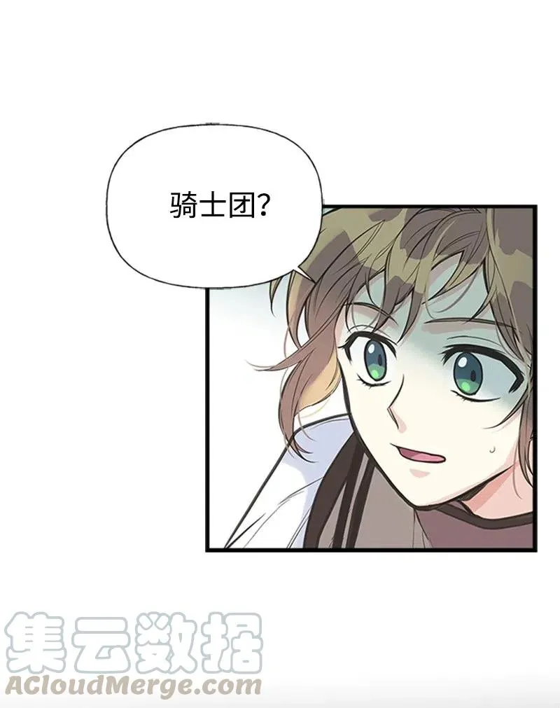 14 皇家骑士团 第13页