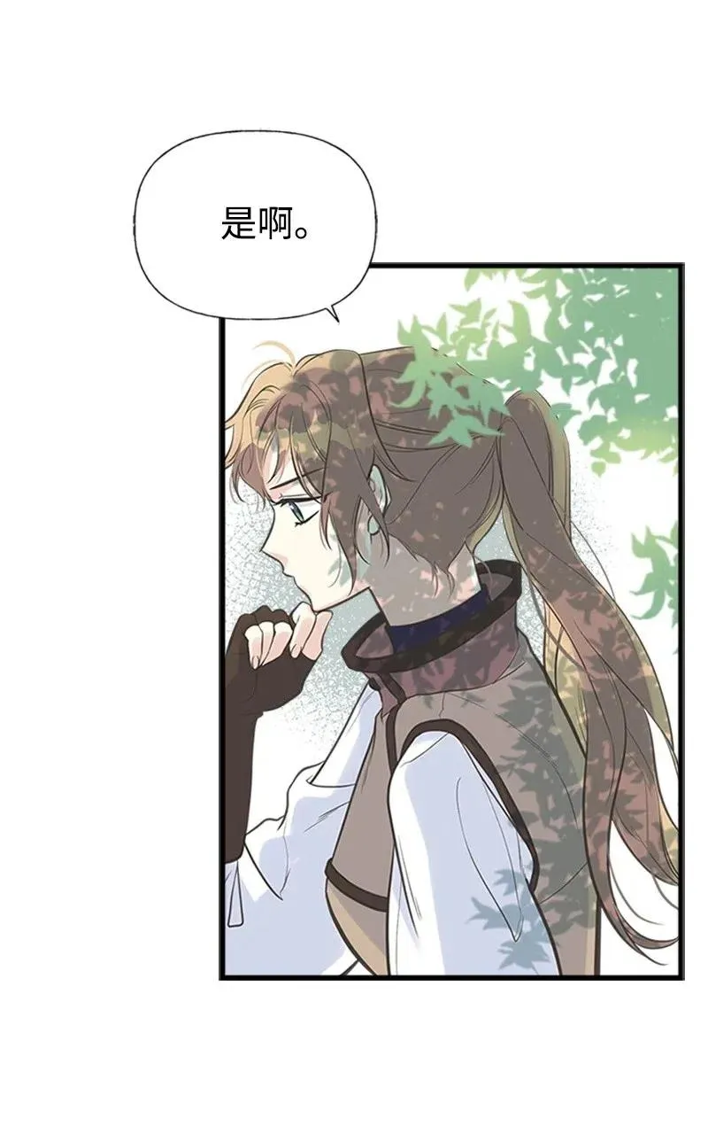 14 皇家骑士团 第18页