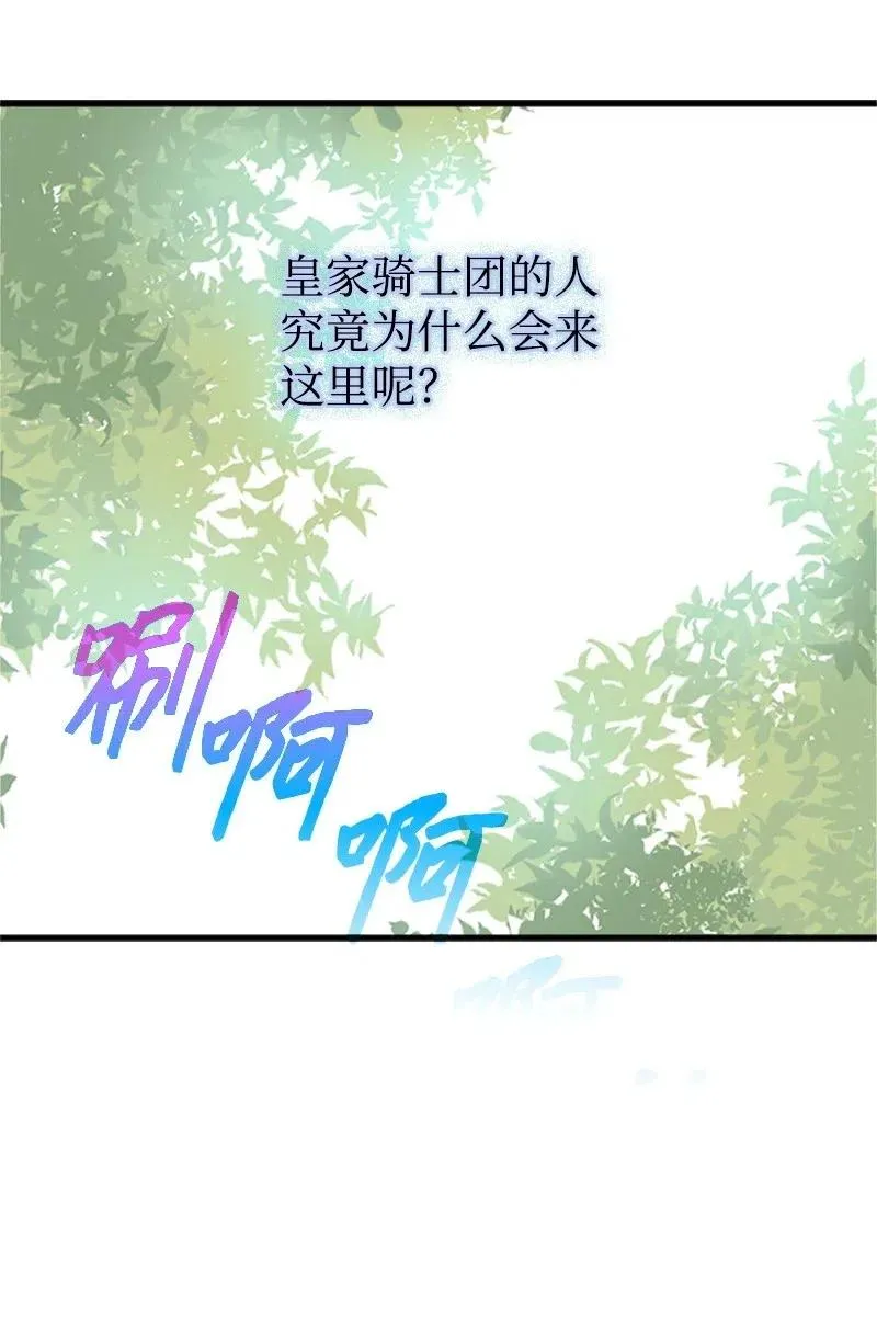 14 皇家骑士团 第27页